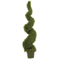 5' Rosemary Spiral Tree w/2184 Lvs