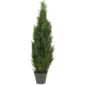 4' Cedar Tree w/1000 Lvs