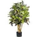 3' Croton Tree w/180 Lvs