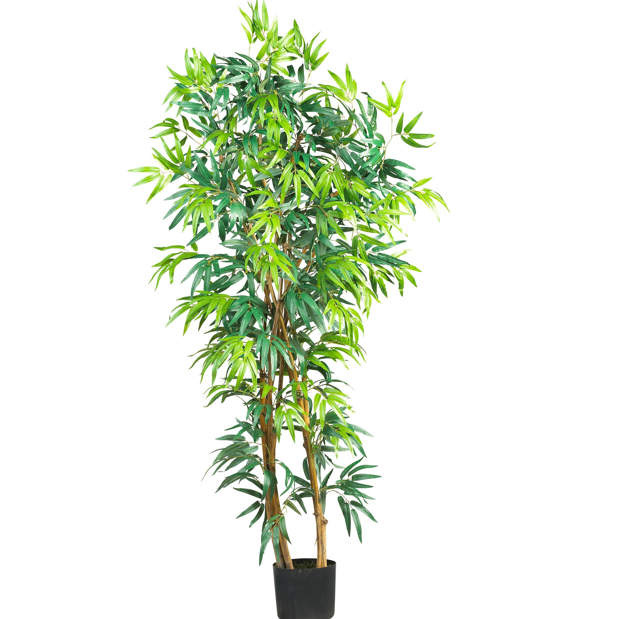 5' Fancy Bamboo Tree w/1300 Lvs
