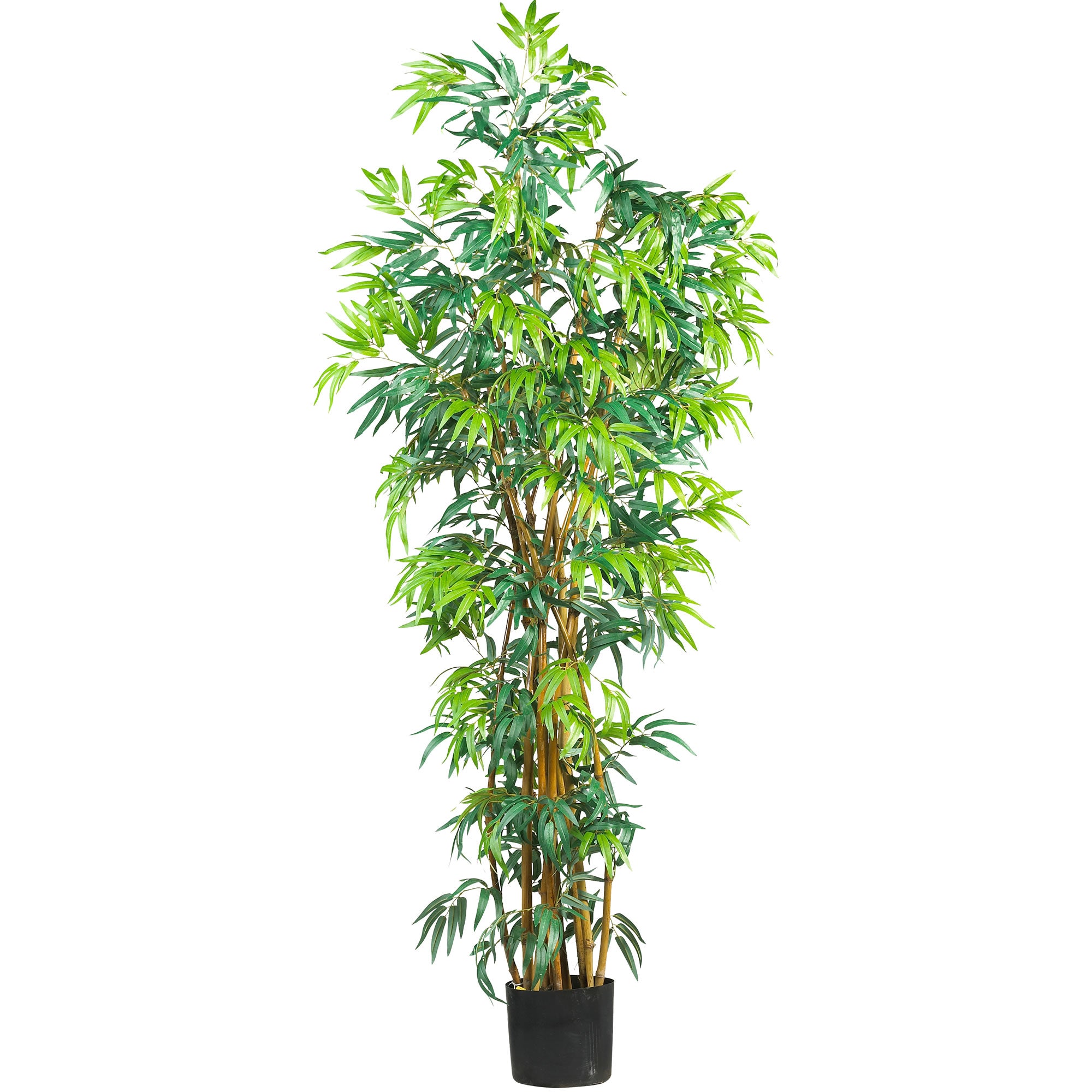 6' Fancy Style Bamboo Tree w/1700 Lvs