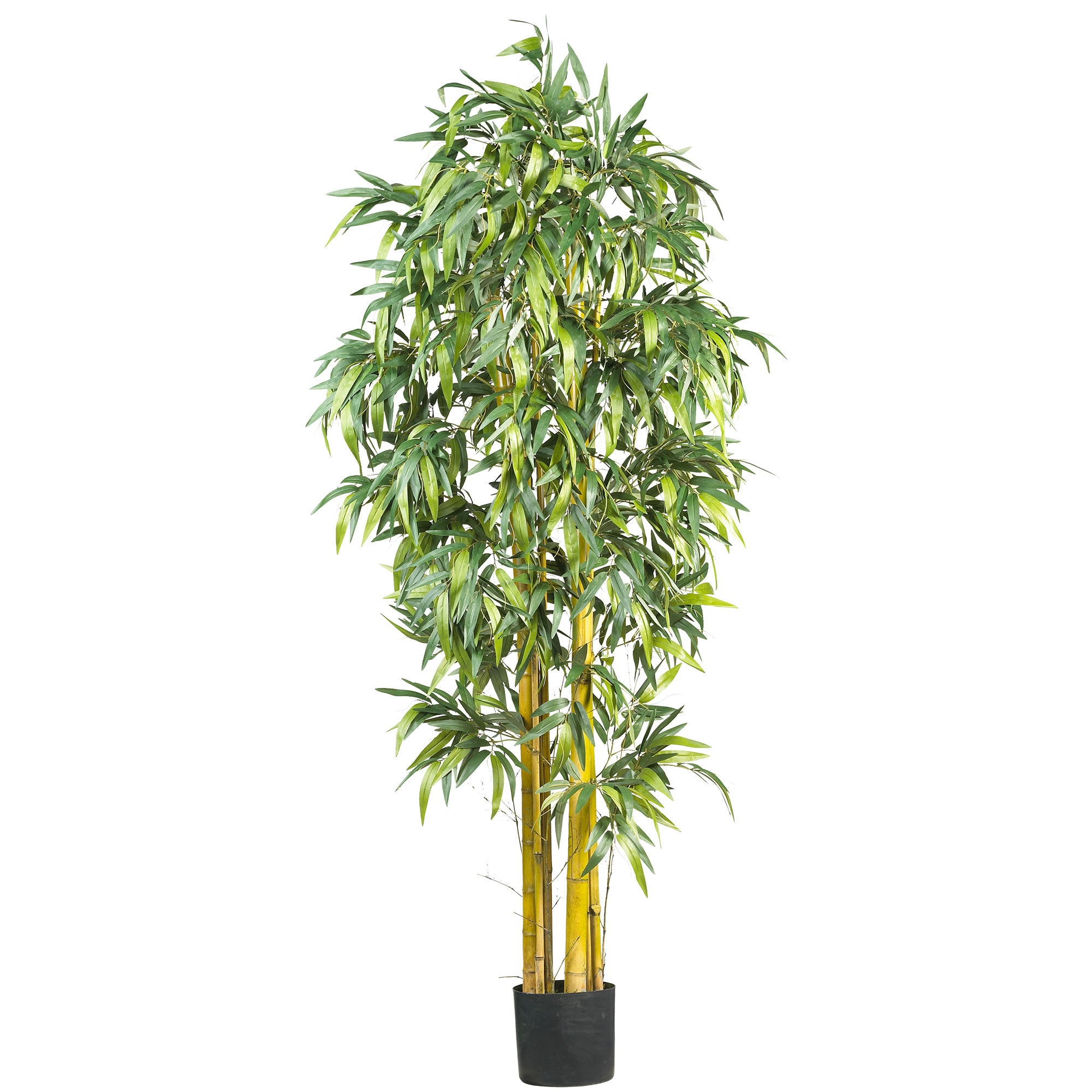 6' Biggy Bamboo Tree w/1152 Lvs