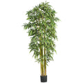 7' Biggy Bamboo w/1536 Lvs