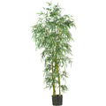 6' Fancy Slim Bamboo Tree w/1850 Lvs