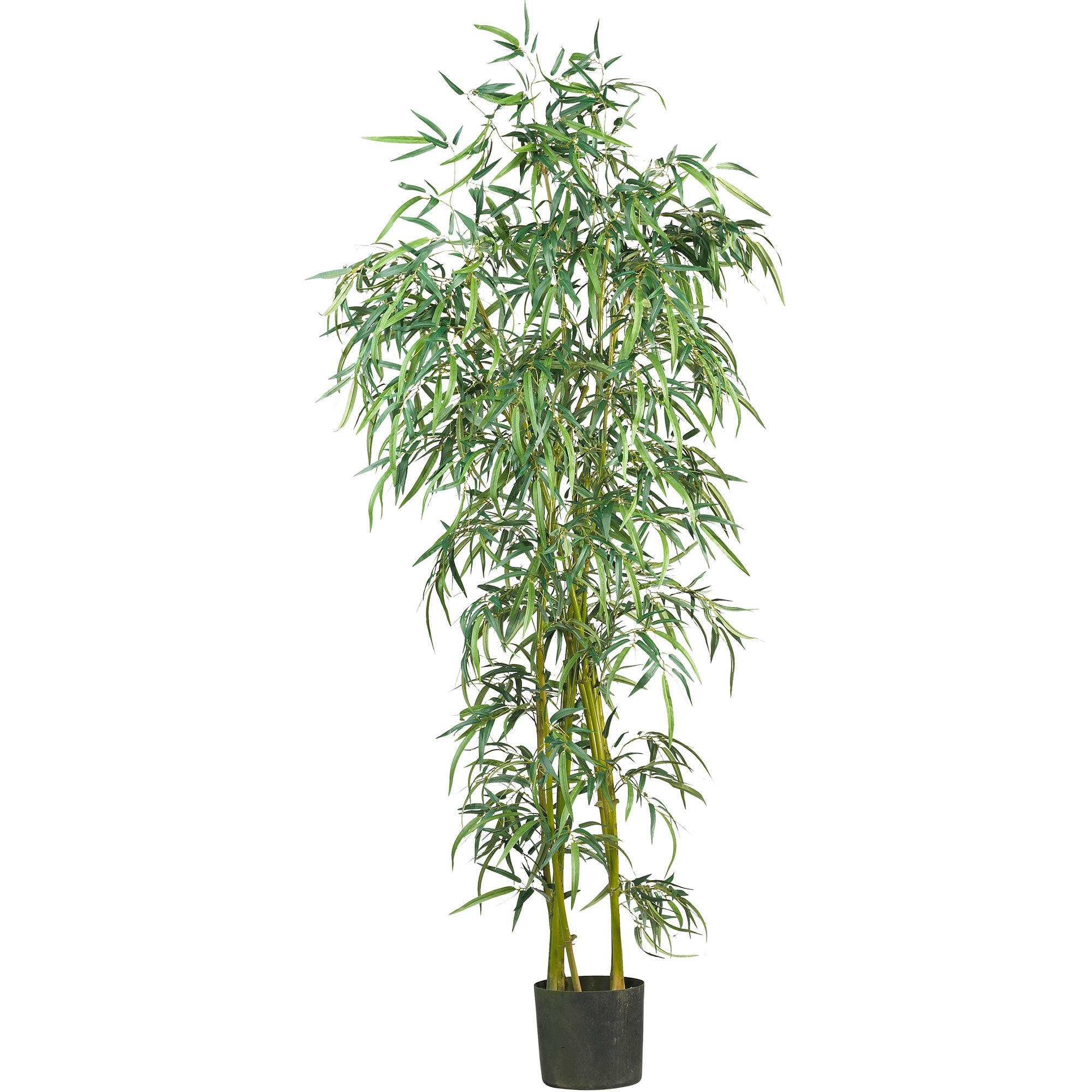 6' Fancy Slim Bamboo Tree w/1850 Lvs