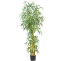 7' Fancy Slim Bamboo w/2275 Lvs