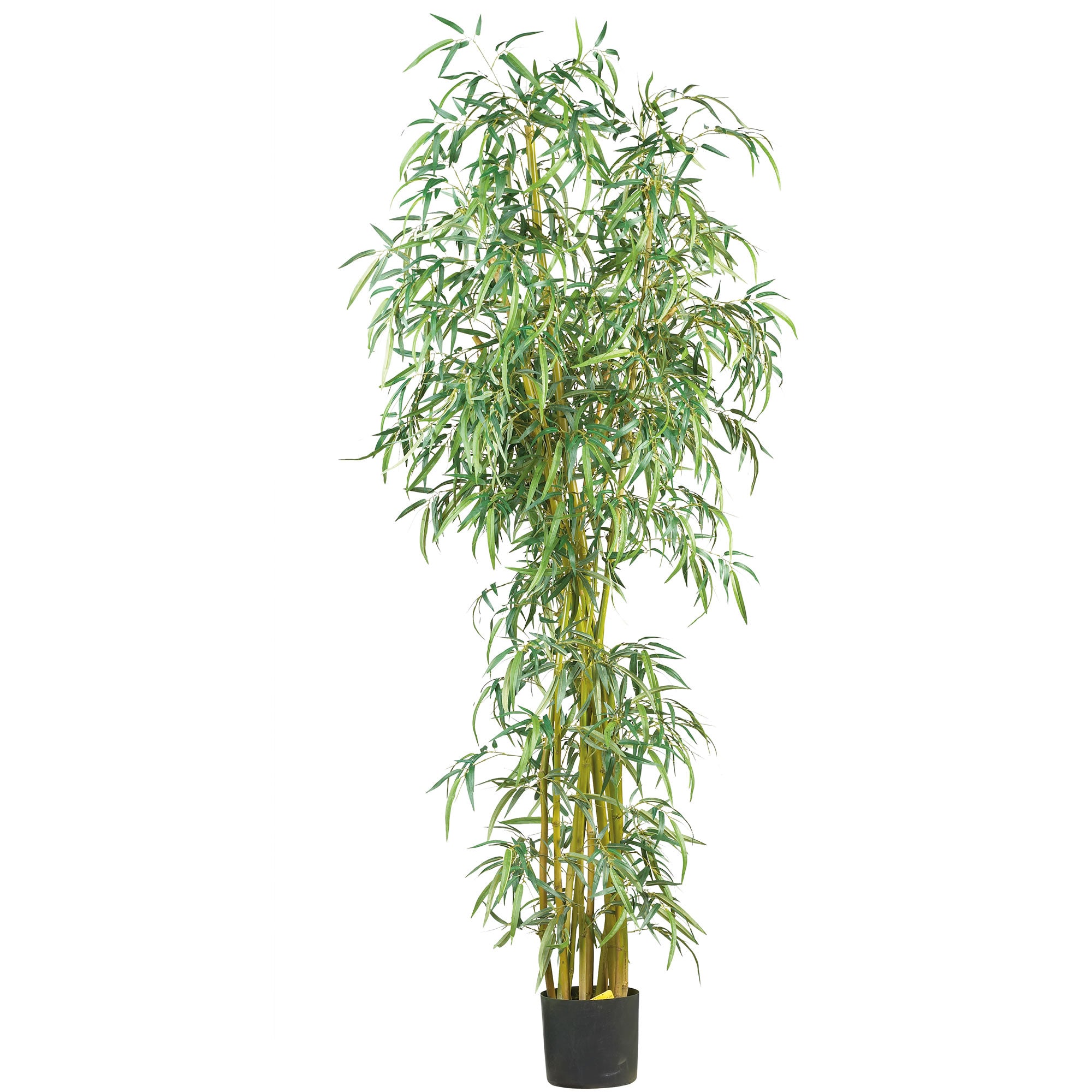 7' Fancy Slim Bamboo w/2275 Lvs