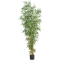 8' Fancy Style Bamboo Tree x10 w/2875 Lvs