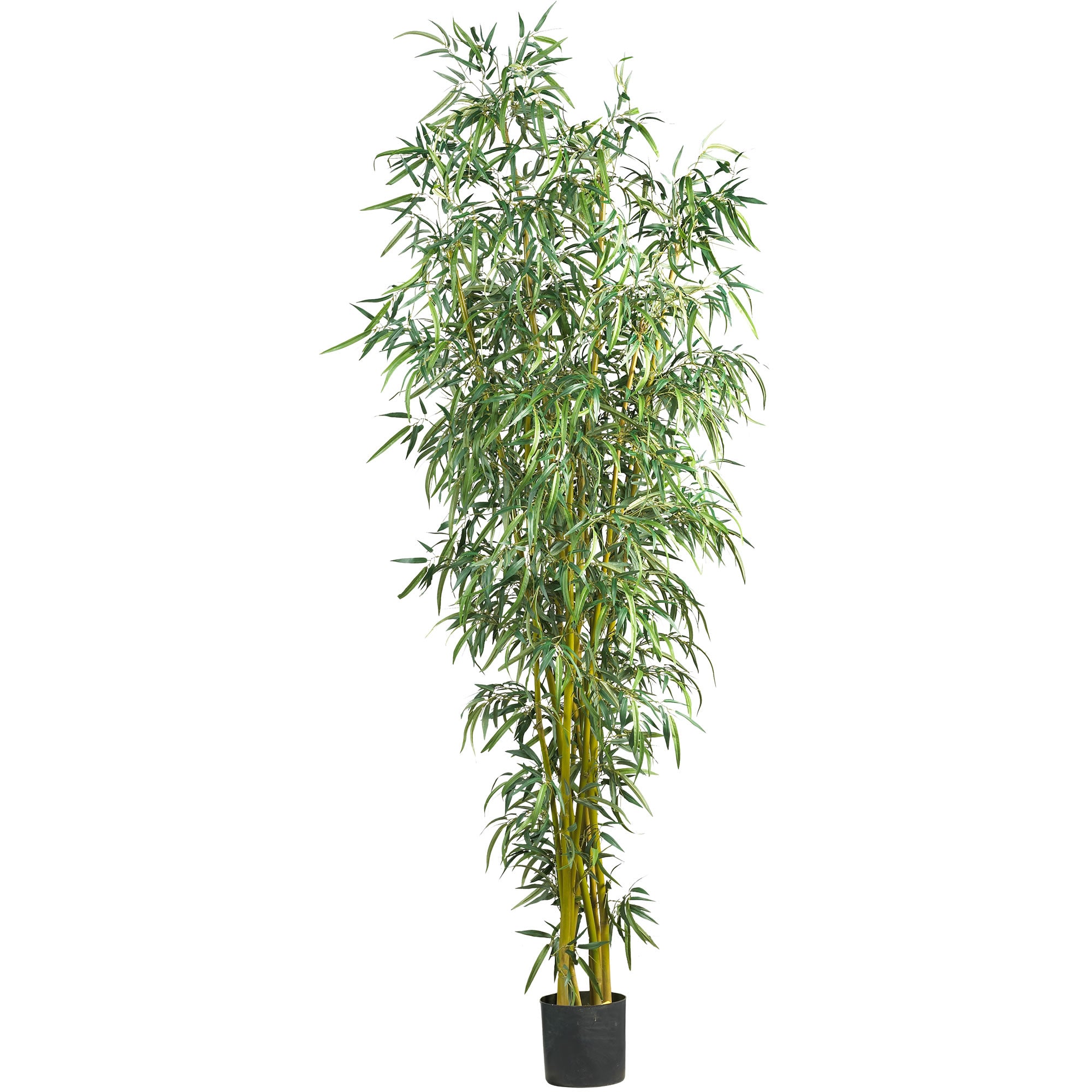 8' Fancy Style Bamboo Tree x10 w/2875 Lvs