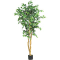 5' Ficus Tree w/756 Lvs