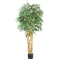 6' Weeping Ficus Tree w/1008 Lvs