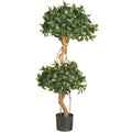 4' Sweet Bay Double Ball Topiary Tree w/1036 Lvs