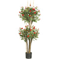 5' Mini Rose Tree w/2080 Lvs