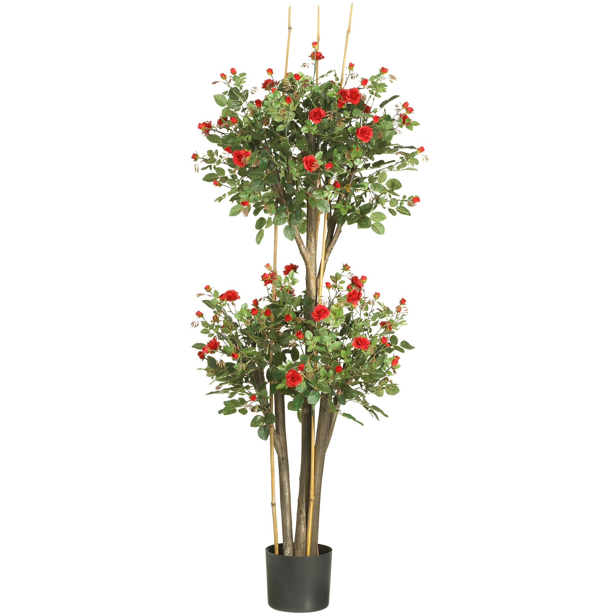 5' Mini Rose Tree w/2080 Lvs