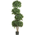 69" Sweet Bay Topiary w/4 Balls Tree w/2664 Lvs
