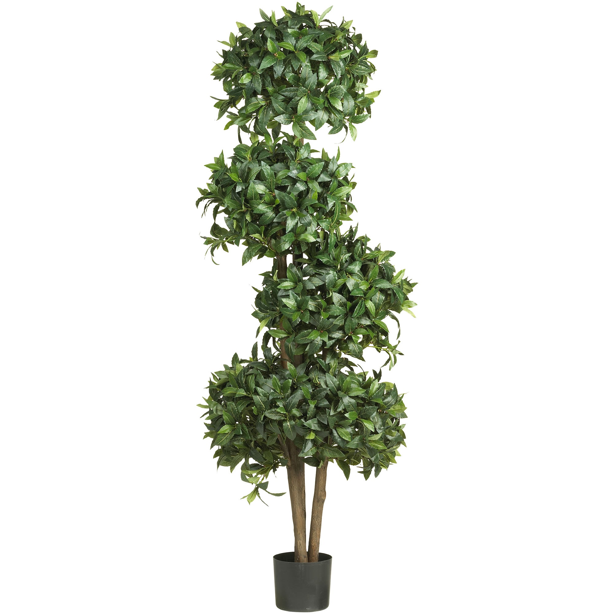 69" Sweet Bay Topiary w/4 Balls Tree w/2664 Lvs