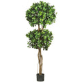 5.5' Eucalyptus Double Ball Topiary Tree w/1989 Lvs