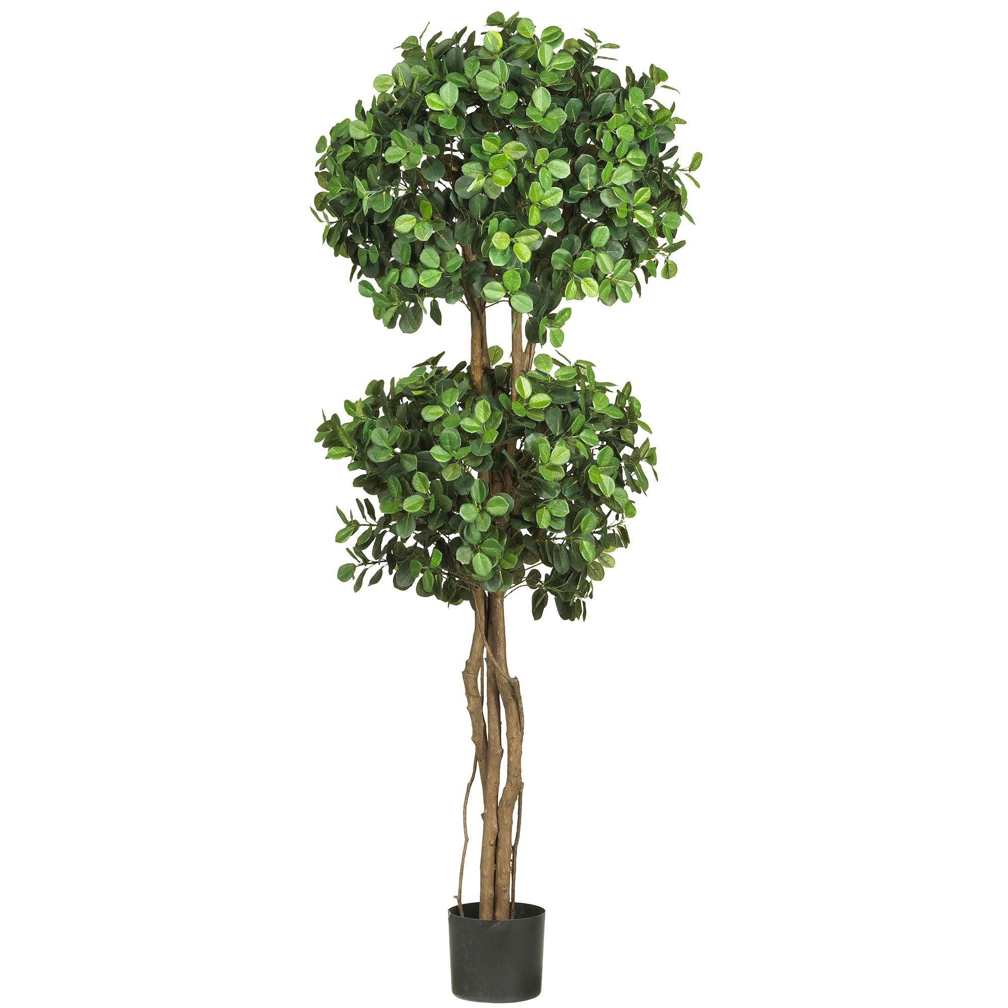 5.5' Eucalyptus Double Ball Topiary Tree w/1989 Lvs
