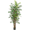 7' Bamboo Palm Tree w/1542 Lvs