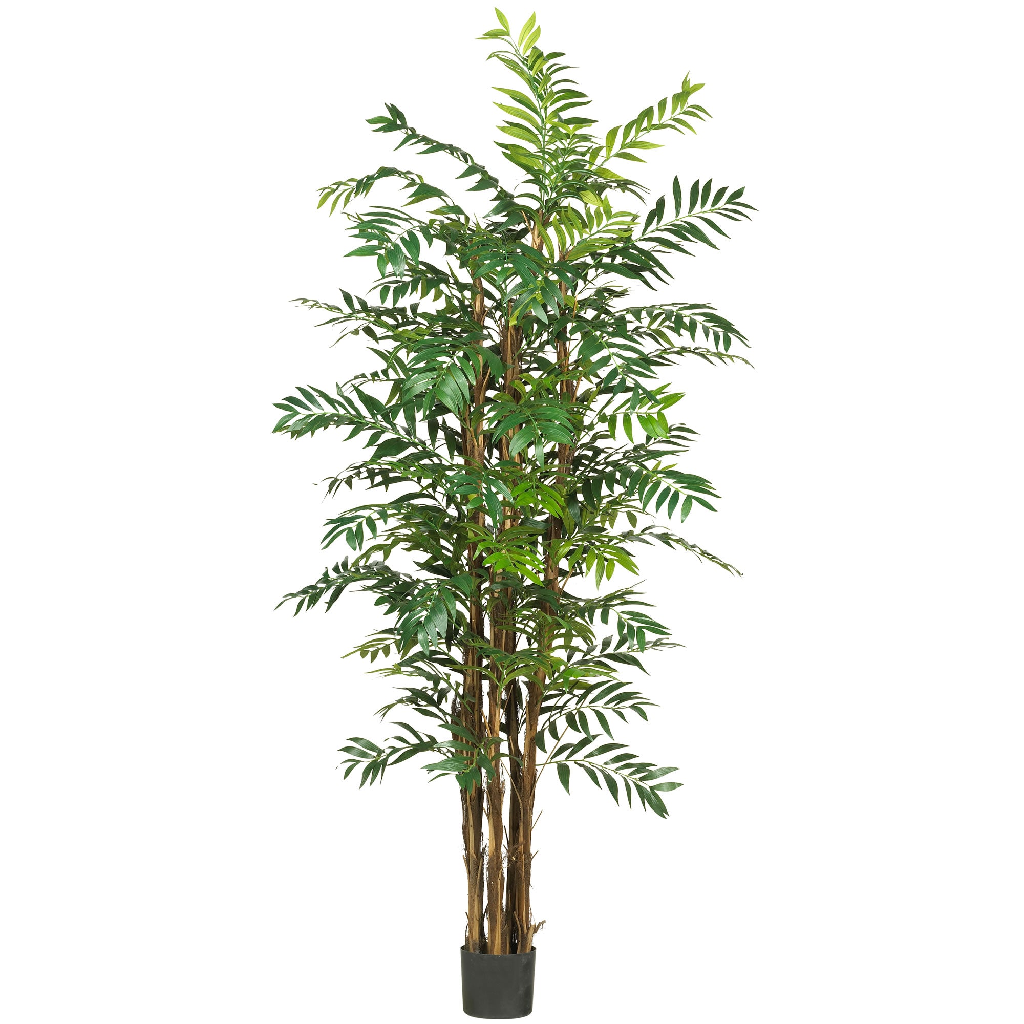 7' Bamboo Palm Tree w/1542 Lvs