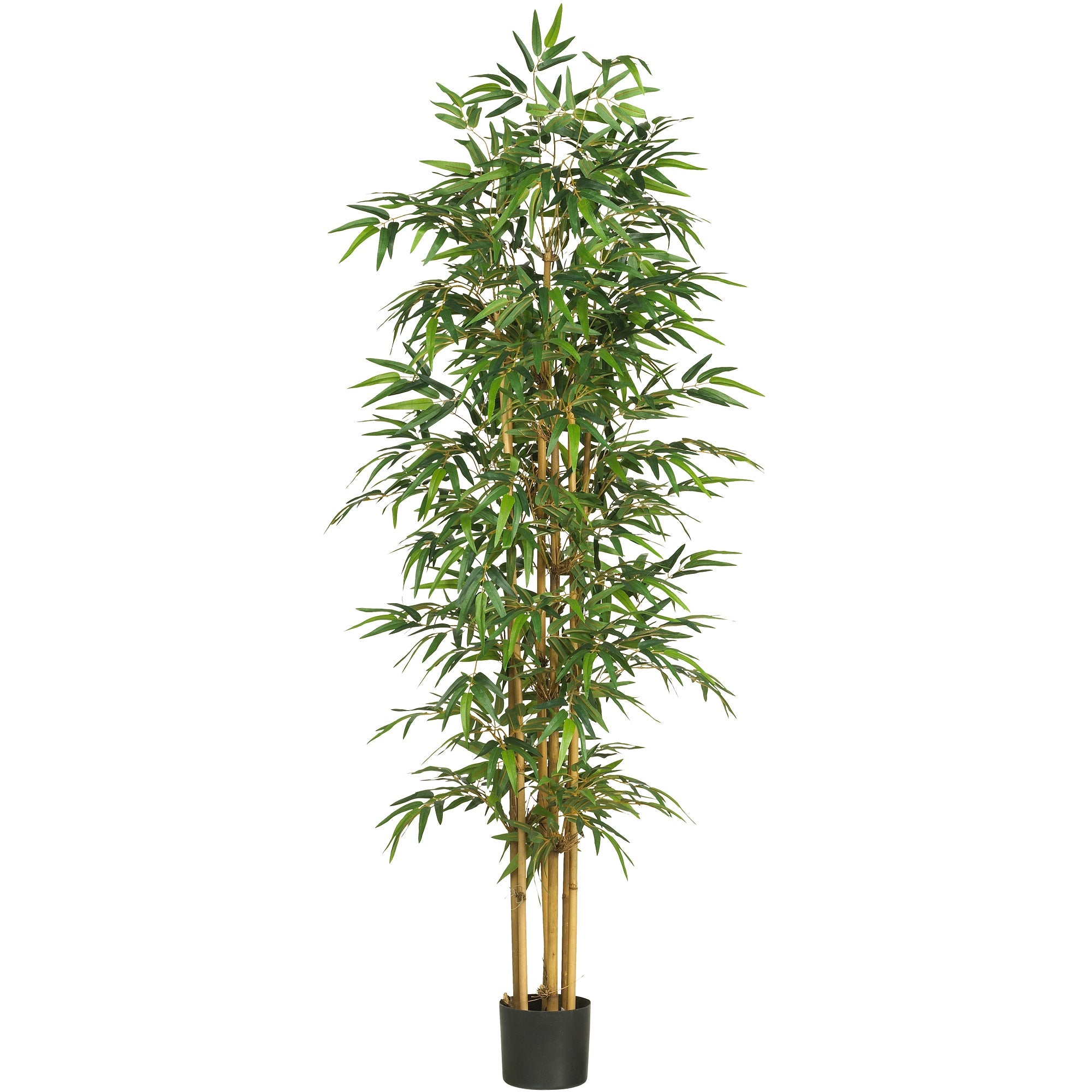 75" Bamboo Tree w/1440 Lvs