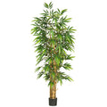 6' Belly Bamboo Tree w/1088 Lvs