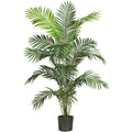 6' Paradise Palm Tree w/13 Lvs