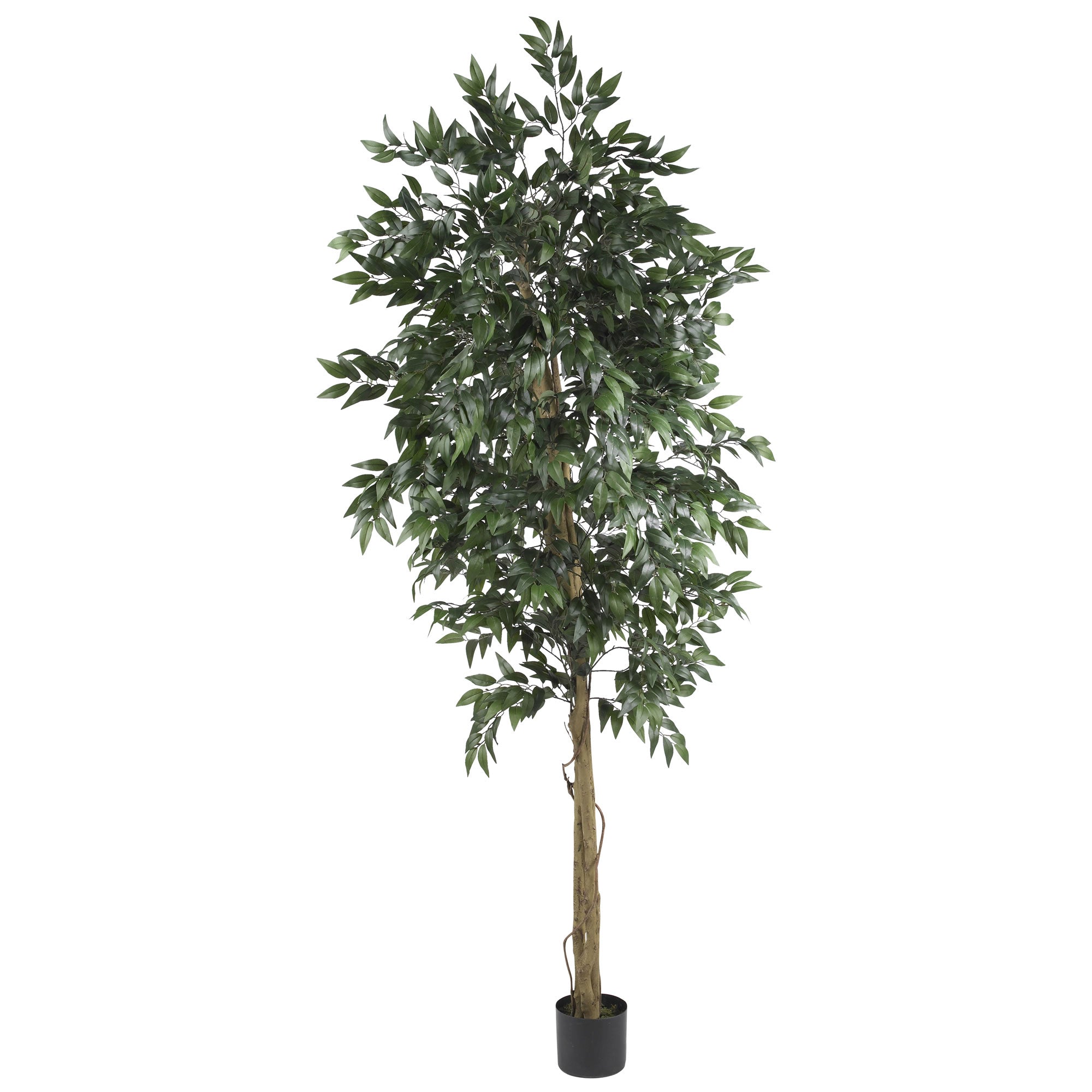 6' Smilax Tree w/2304 Lvs