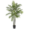 6' Areca Palm Tree x 7 w/1332 Lvs