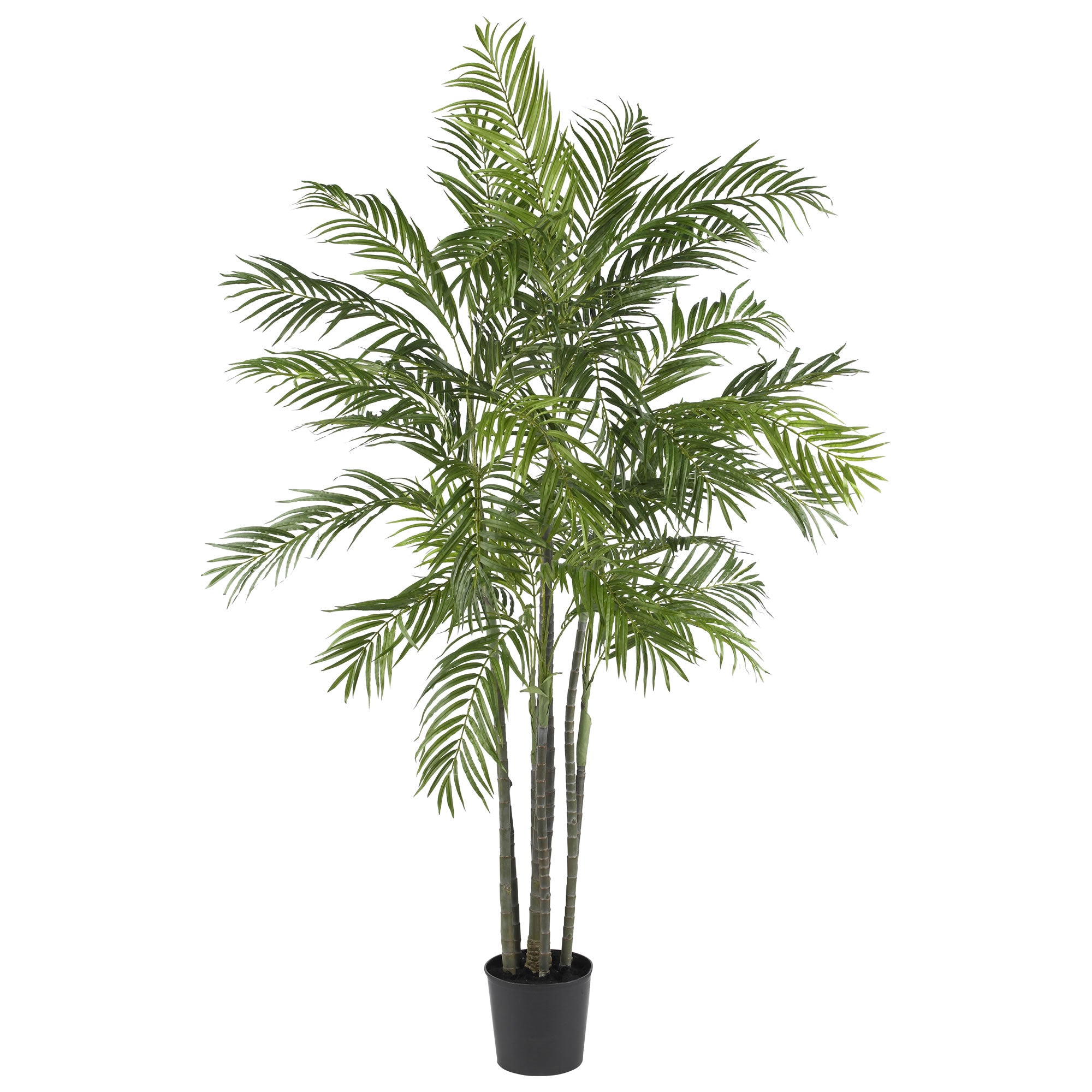 6' Areca Palm Tree x 7 w/1332 Lvs