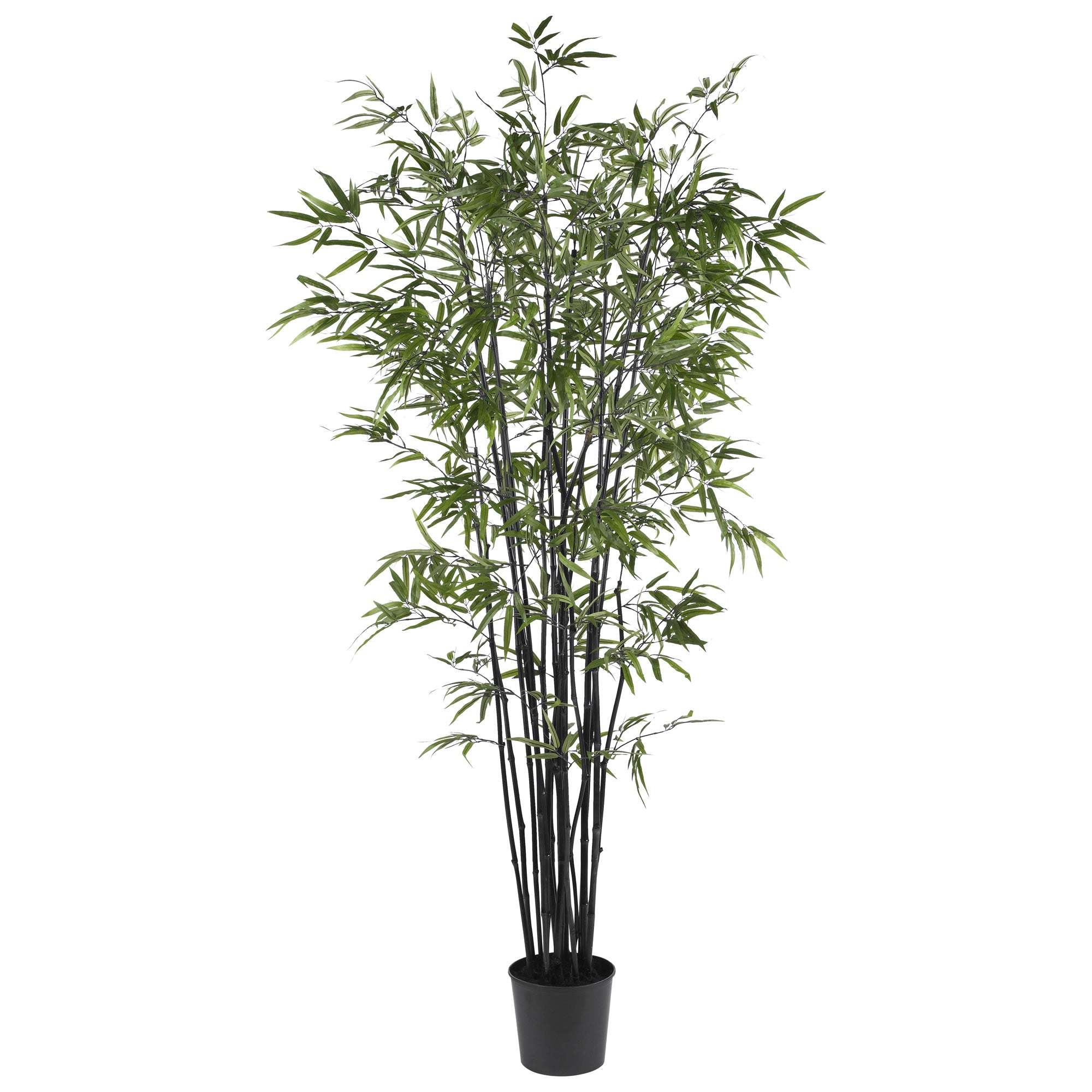 6.5' Black Bamboo Tree w/1752 Lvs