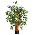3' Multi Bambusa Bamboo Tree w/500 Lvs