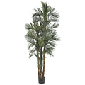6' Robellini Palm Tree w/38 Lvs