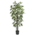 6' Bamboo Tree (Green Trunks) x 6 w/1160 Lvs