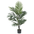 5' Kentia Palm Tree w/12 Fronds
