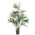 5' Kentia Palm Tree x 7 w/124 Lvs