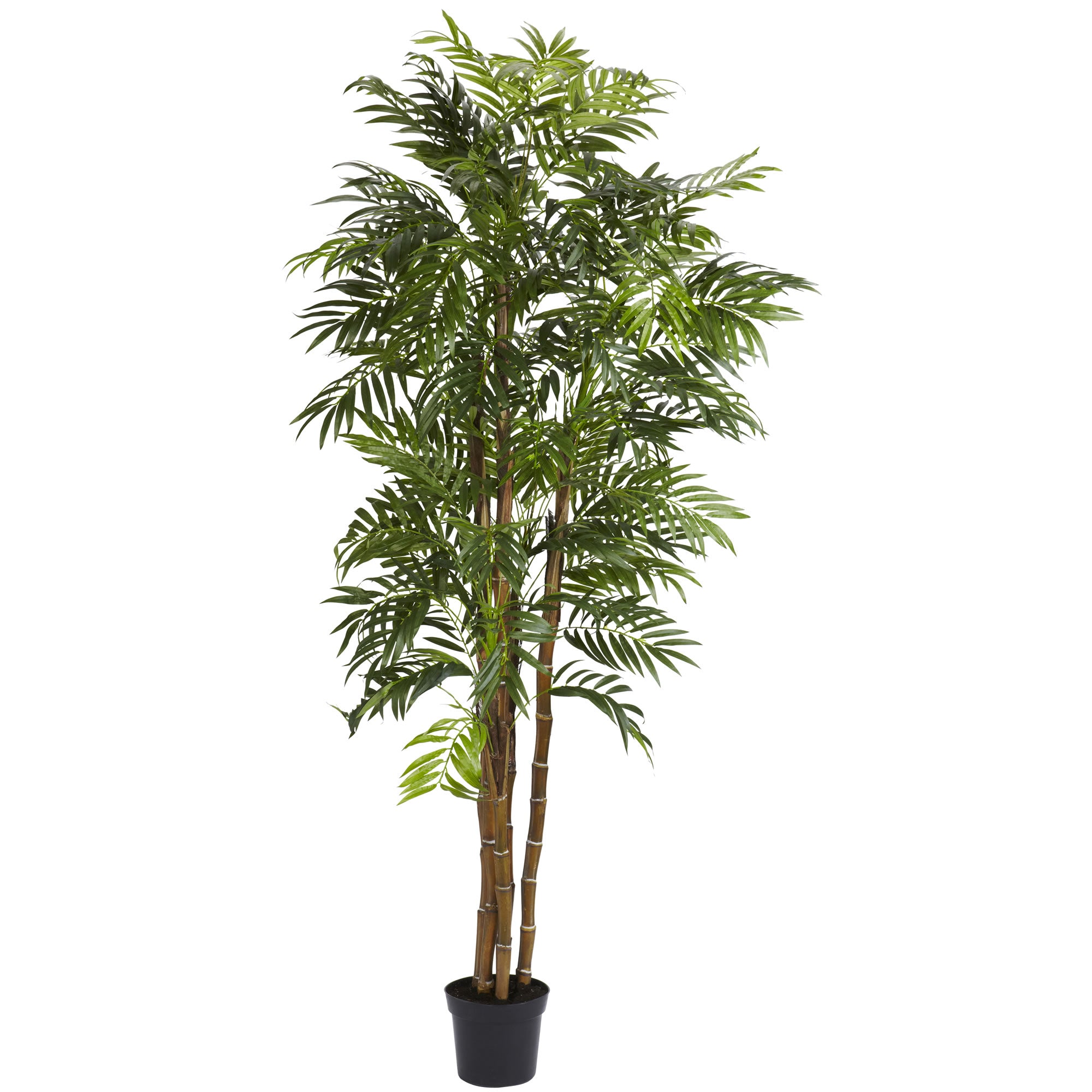 6' Bella Palm Tree w/1496 Lvs
