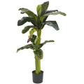 5'+ 3' Banana Tree w/Bananas x 2