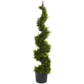 4' Cypress Spiral Tree