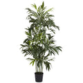 6' Bamboo Palm Tree w/606 Lvs