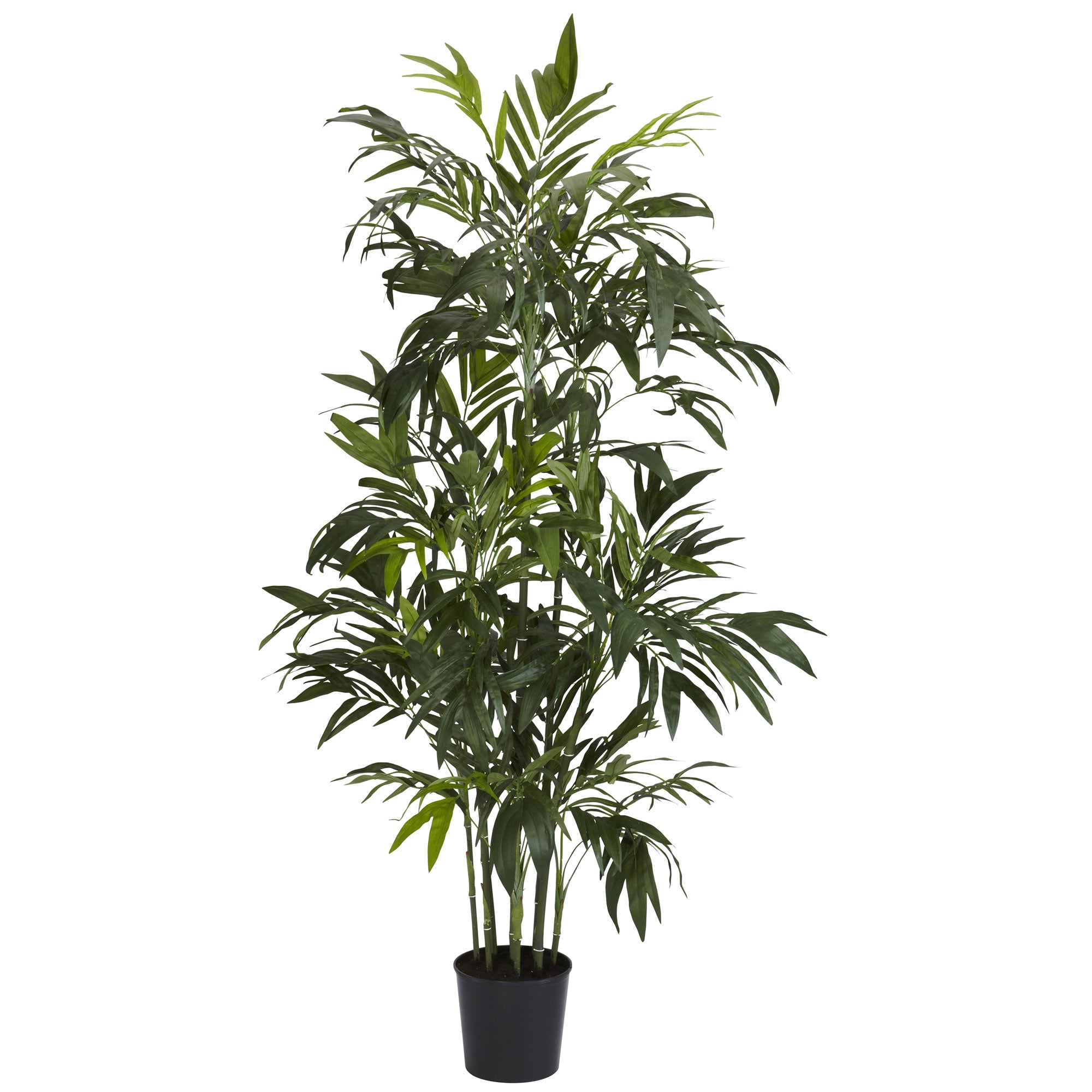 6' Bamboo Palm Tree w/606 Lvs