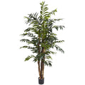 5' Bamboo Palm Tree w/690 Lvs