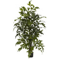 4.5' Fishtail Palm Tree w/594 Lvs