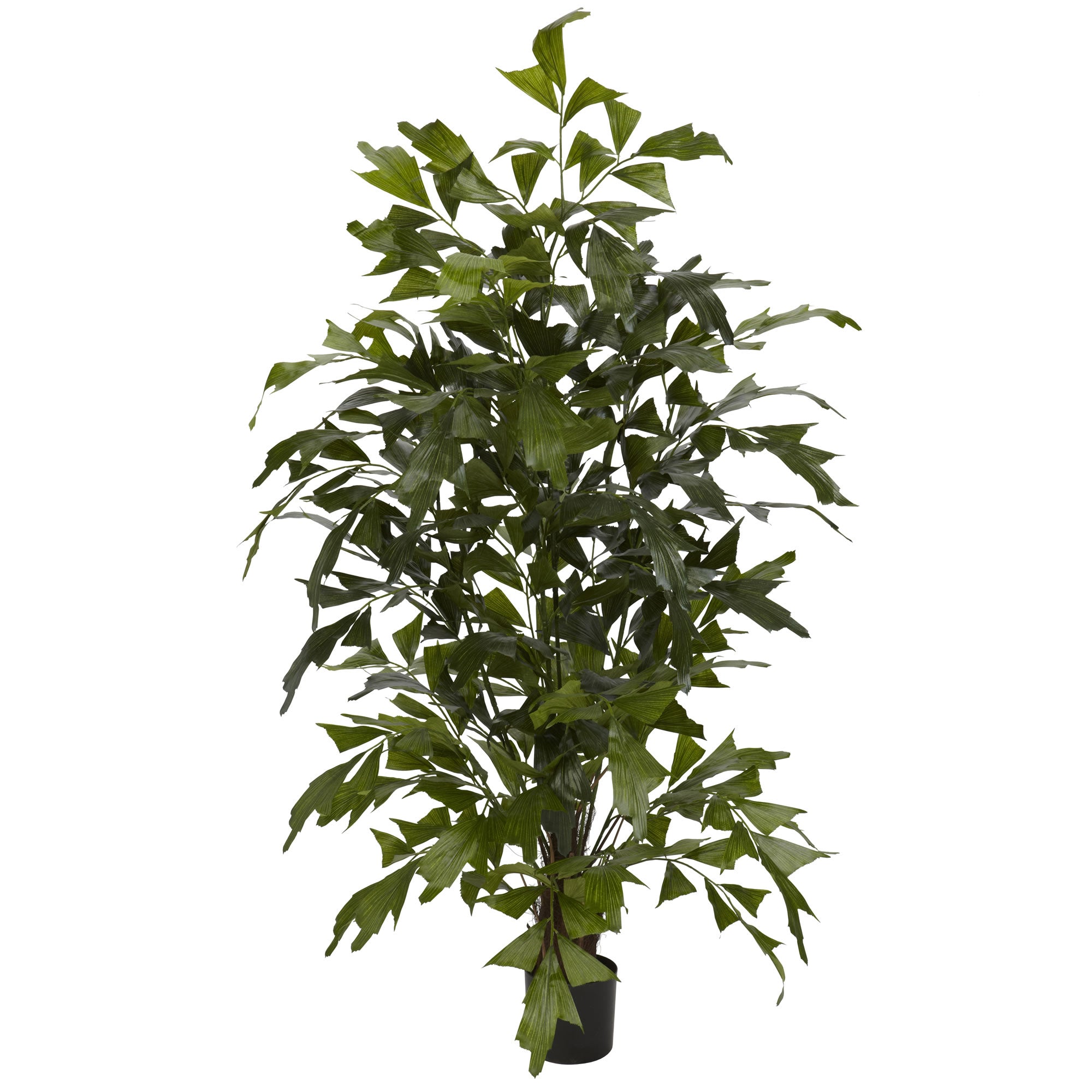 4.5' Fishtail Palm Tree w/594 Lvs