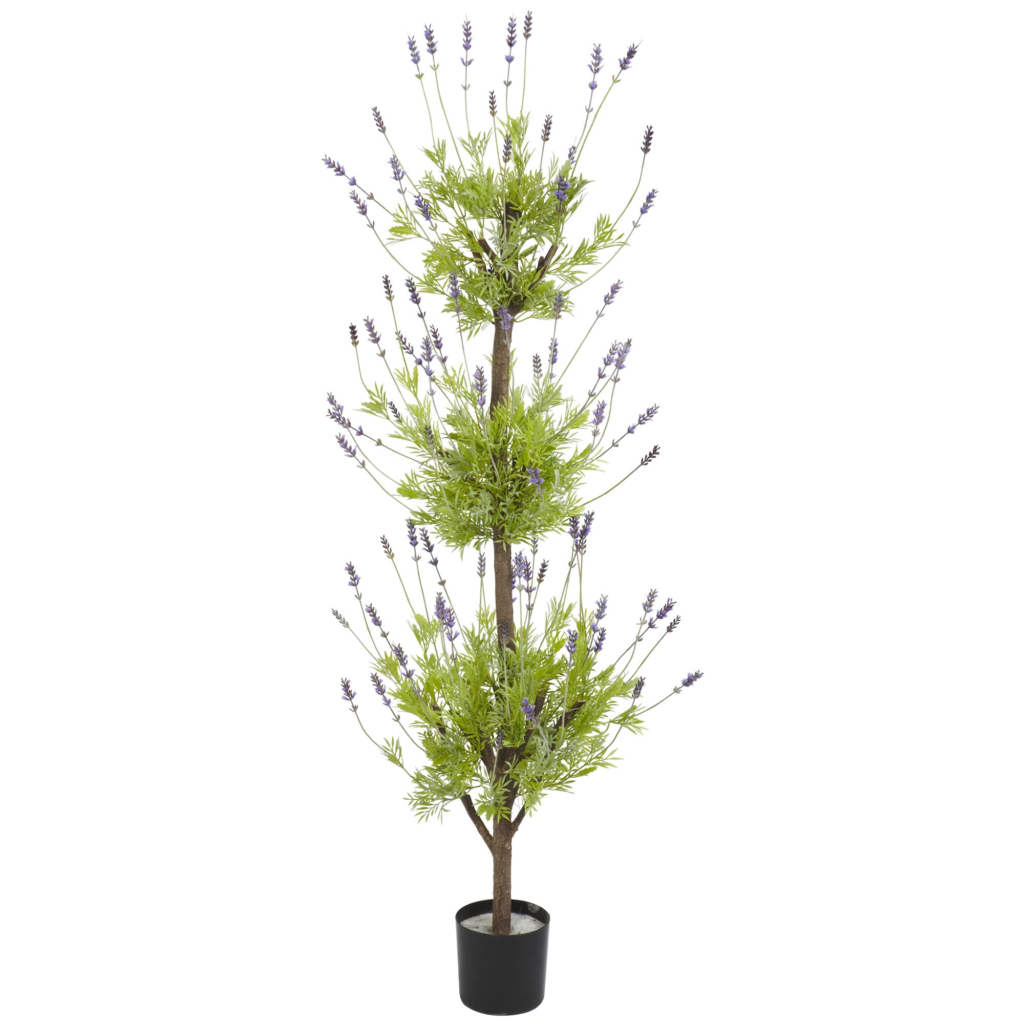 4' Lavender Topiary Tree