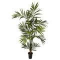 6' Kentia Palm Tree x 10/Fronds