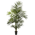 7' Kentia Palm Tree w/13 Fonds