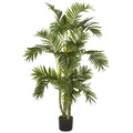 4' Areca Palm Tree w/560 Lvs