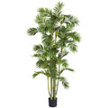 6' Areca Palm Tree w/1155 Lvs