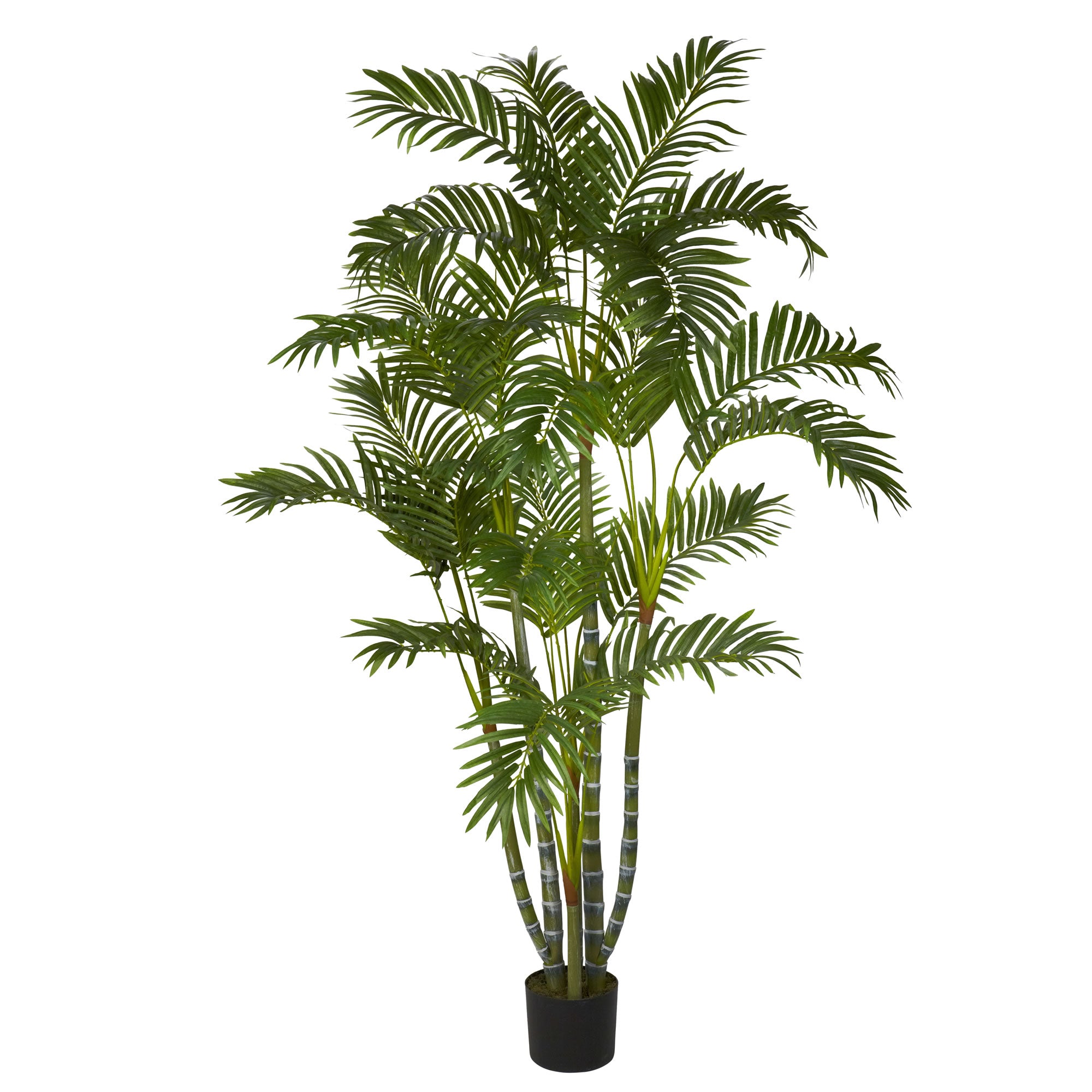 5' Biggy Style Areca Tree w/840 Lvs
